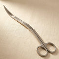 8-inch stainless steel curved aquarium plant scissors for aquatic tank maintenance
